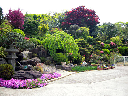 庭２