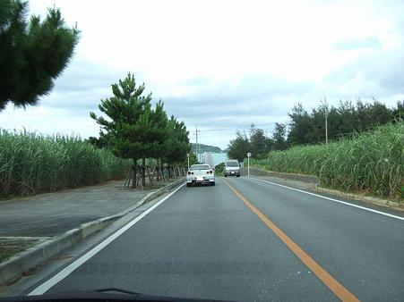 DSCF1047