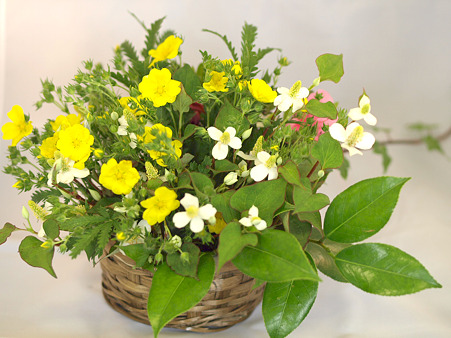 野の花の生け花01