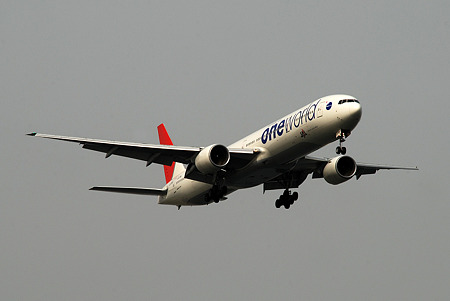 JAL one world 塗装