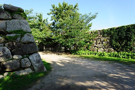 1106231705_DSC_2576
