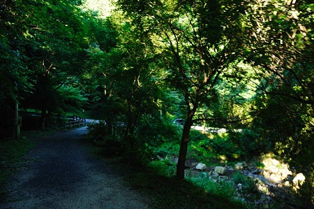 1107120646_DSC_5251