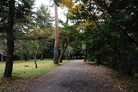 1011231035_DSC_4306