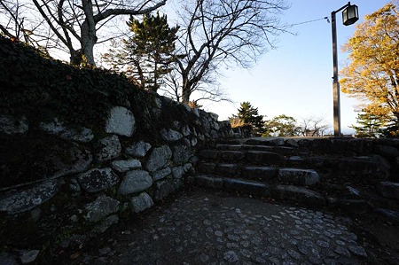 1011231537_DSC_4814