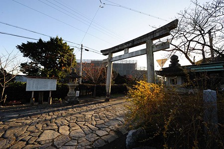 1011231559_DSC_4880