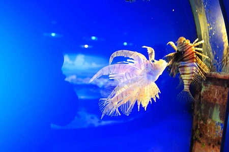 1011241350_DSC_5416