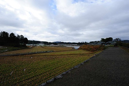 1101020900_DSC_6821
