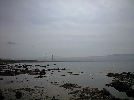 CA390588