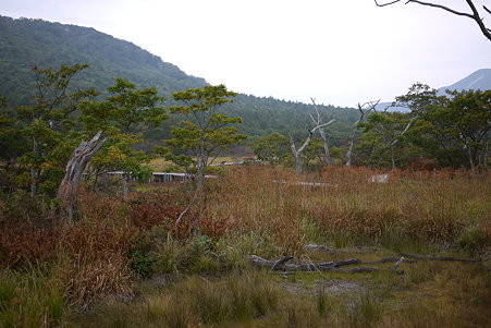 P1000059