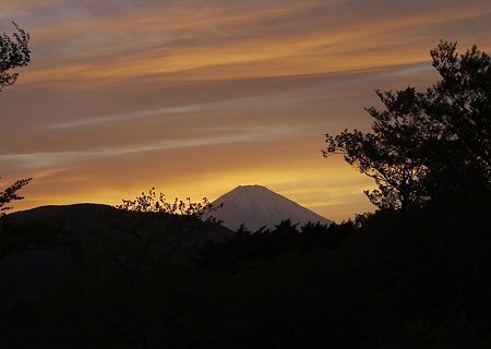 fuji