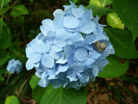 P1010581