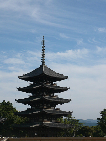 P1020117