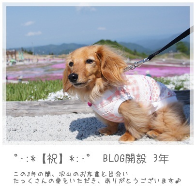 20120613 BLOG開設【祝】3年