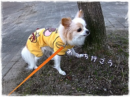 あっち行こう