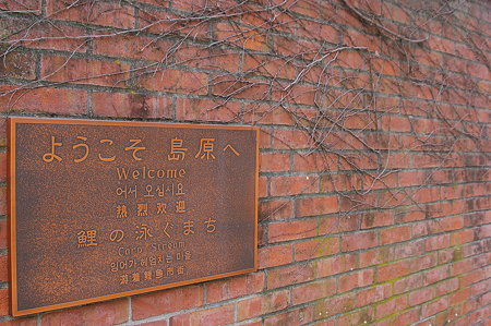 IMGP0411