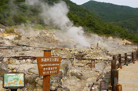 IMGP0550