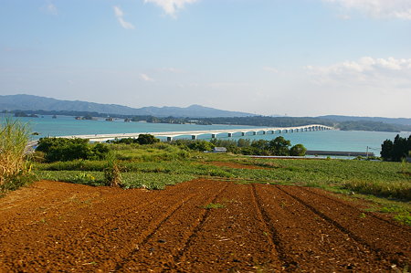 IMGP7576