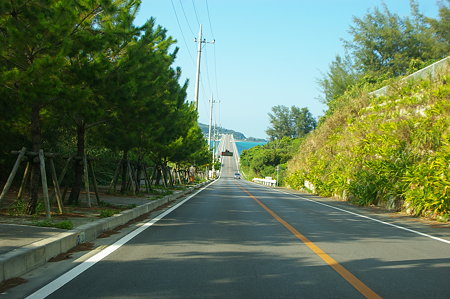 IMGP7539