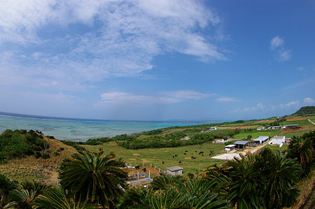 IMGP0601