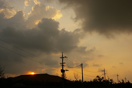 IMGP0695
