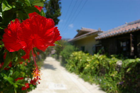 IMGP0977