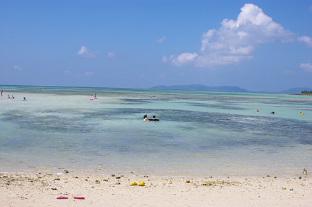 IMGP1161