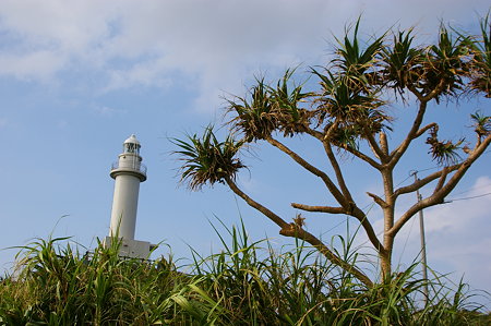 IMGP6841
