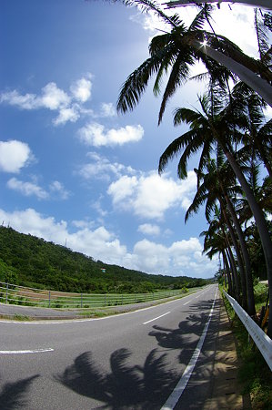 IMGP0056