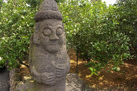 IMGP8657