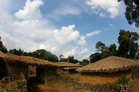IMGP9436