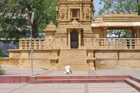 IMGP0929