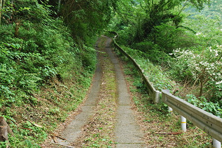 R424宇井峠(白馬峠)2