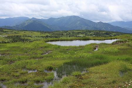 苗場山頂付近の楽園06