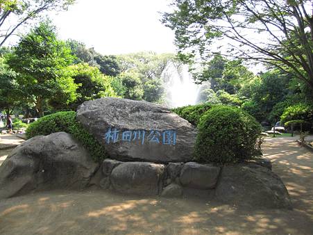 柿田川公園01
