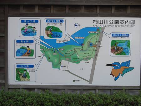柿田川公園02