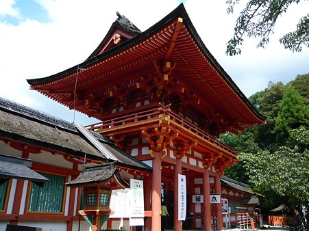 P1000995