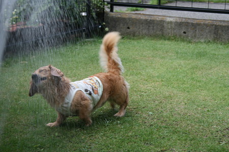 気持ちいいなりね~♪