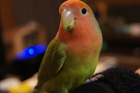DSC00021