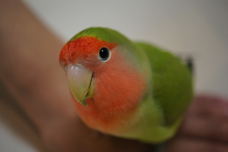 DSC09499