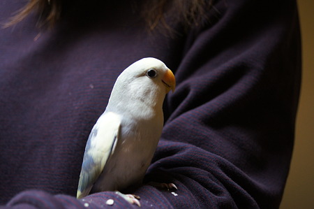 DSC00061