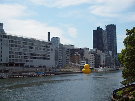E-620_305