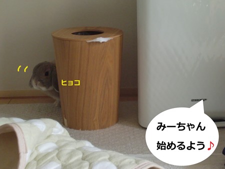 七夕1