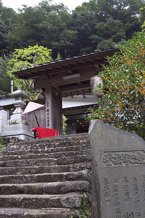 阿夫利神社 05