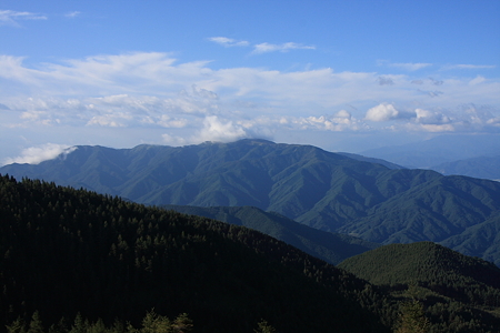 2009091316