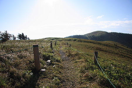 2009091317