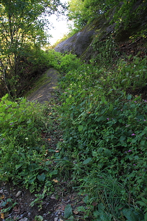 2009092070