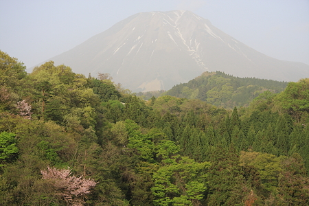 20110502_23