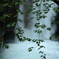 Photos: 貞泉の滝